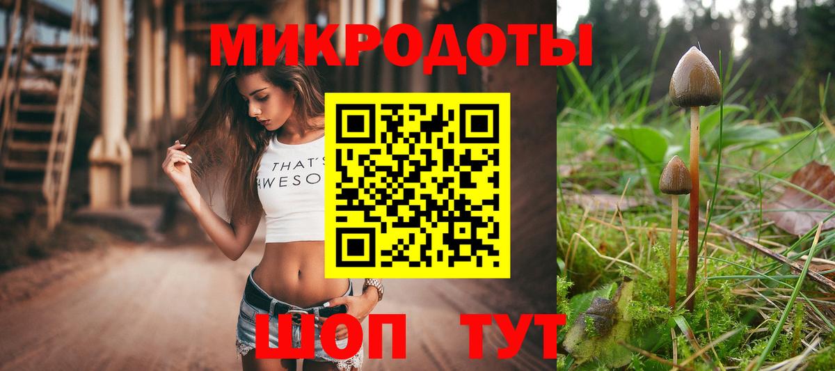 Галлюциногенные грибы прущие грибы Аксай