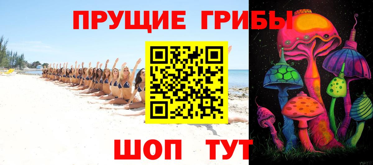 Галлюциногенные грибы Psilocybine cubensis  дарнет шоп  Аксай  Галлюциногенные грибы Psilocybine cubensis  Вход с VPN 